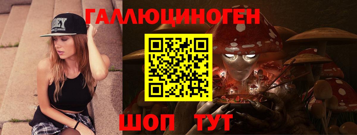 Псилоцибиновые грибы GOLDEN TEACHER Благовещенск